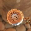 Vintage pocket watch chronometer omega silver case hanter